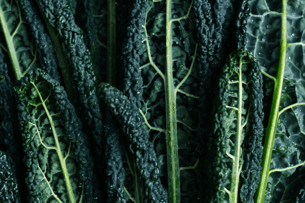 Liver Detoxing And How To Do So Safely