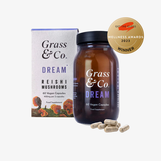 DREAM - Reishi Mushrooms with Magnesium + Chasteberry