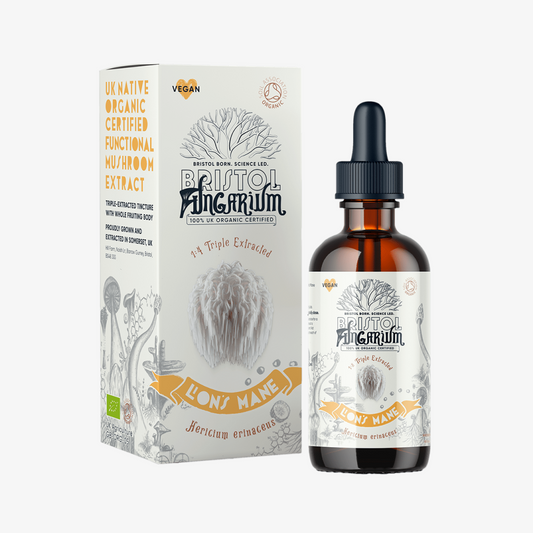 Organic Lion’s Mane Tincture