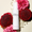 h o l i ( w a t e r ) pearl and rose hyaluronic essence